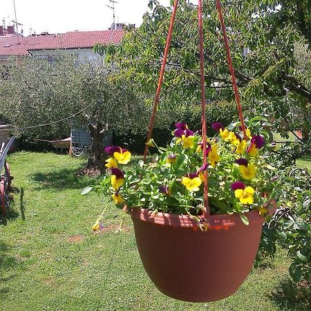 Studio Benassi Poreč Exteriör bild