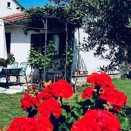 Studio Benassi Poreč Exteriör bild