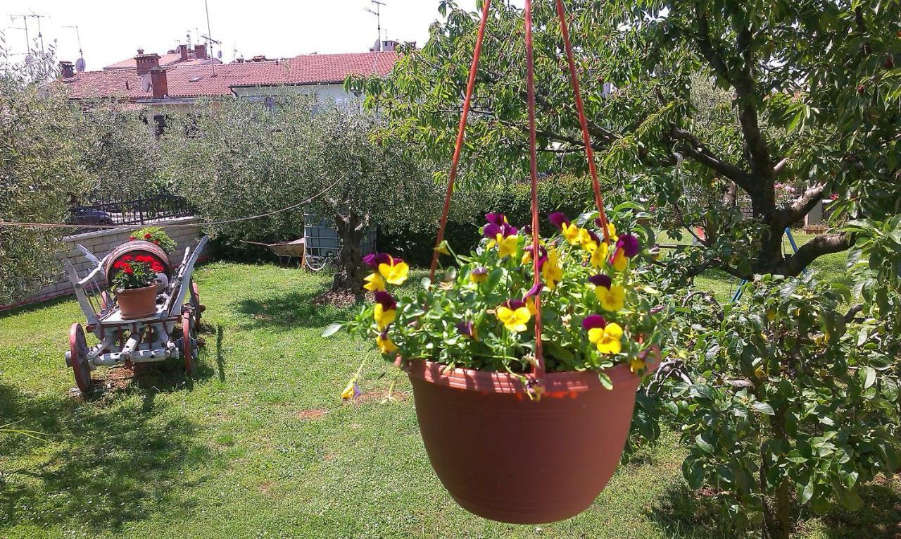 Studio Benassi Poreč Exteriör bild