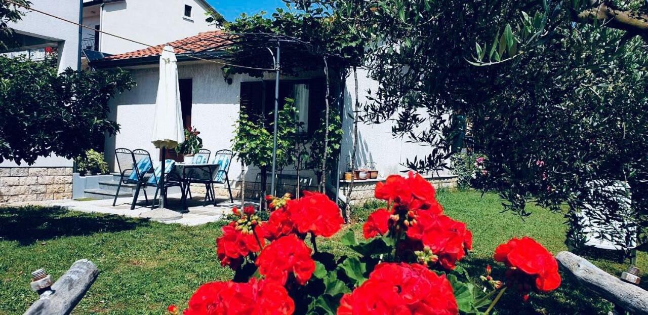 Studio Benassi Poreč Exteriör bild